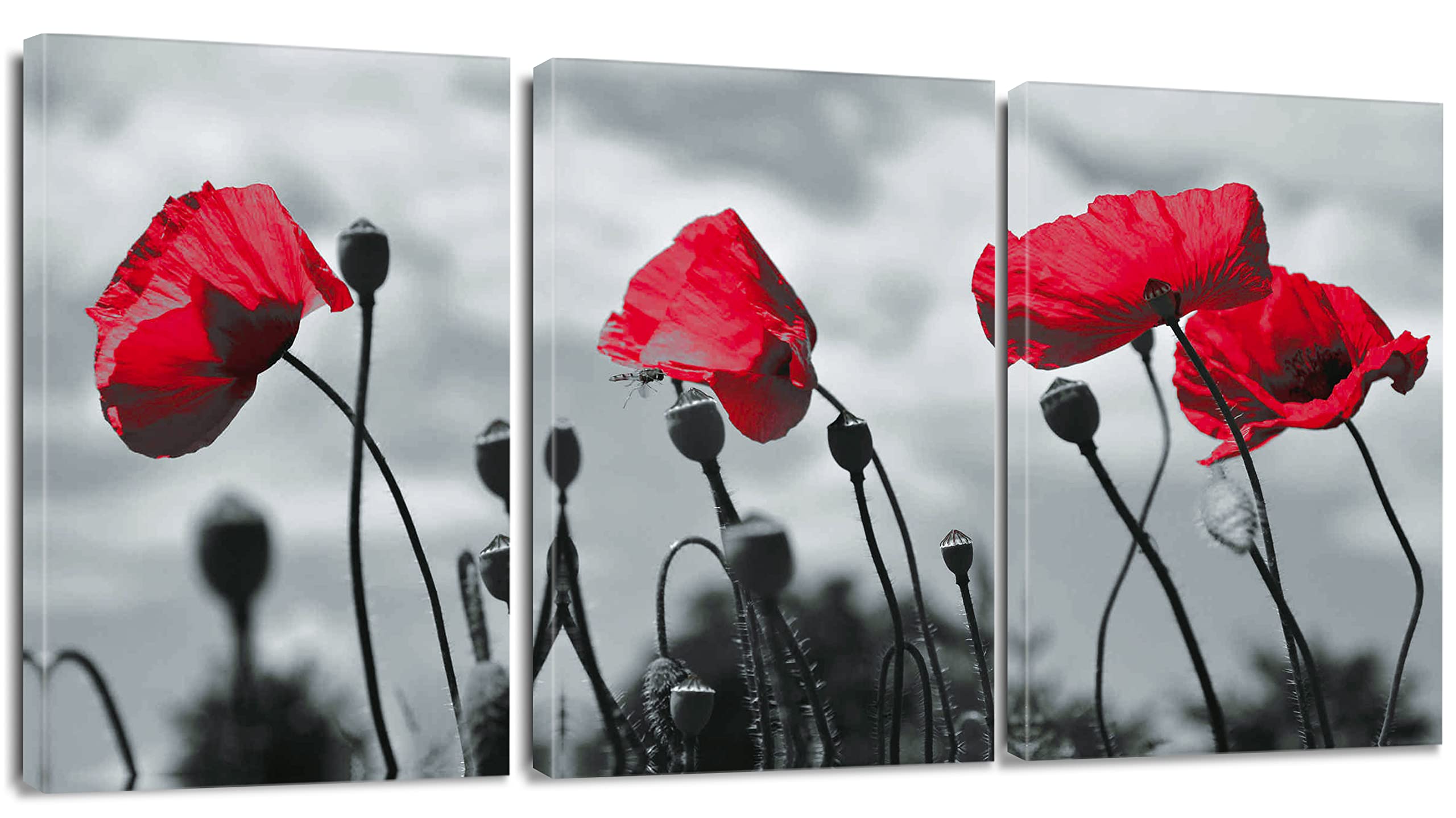 Artscope 3 Pieces Wall Art Canvas Prints - Red Flowers Picture Painting - Modern Wall Artwork Framed for Gifts Bathroom Living Room Home Office Decor - 30 x 40 CM