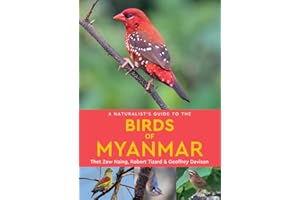 A Naturalist's Guide to the Birds of Myanmar
