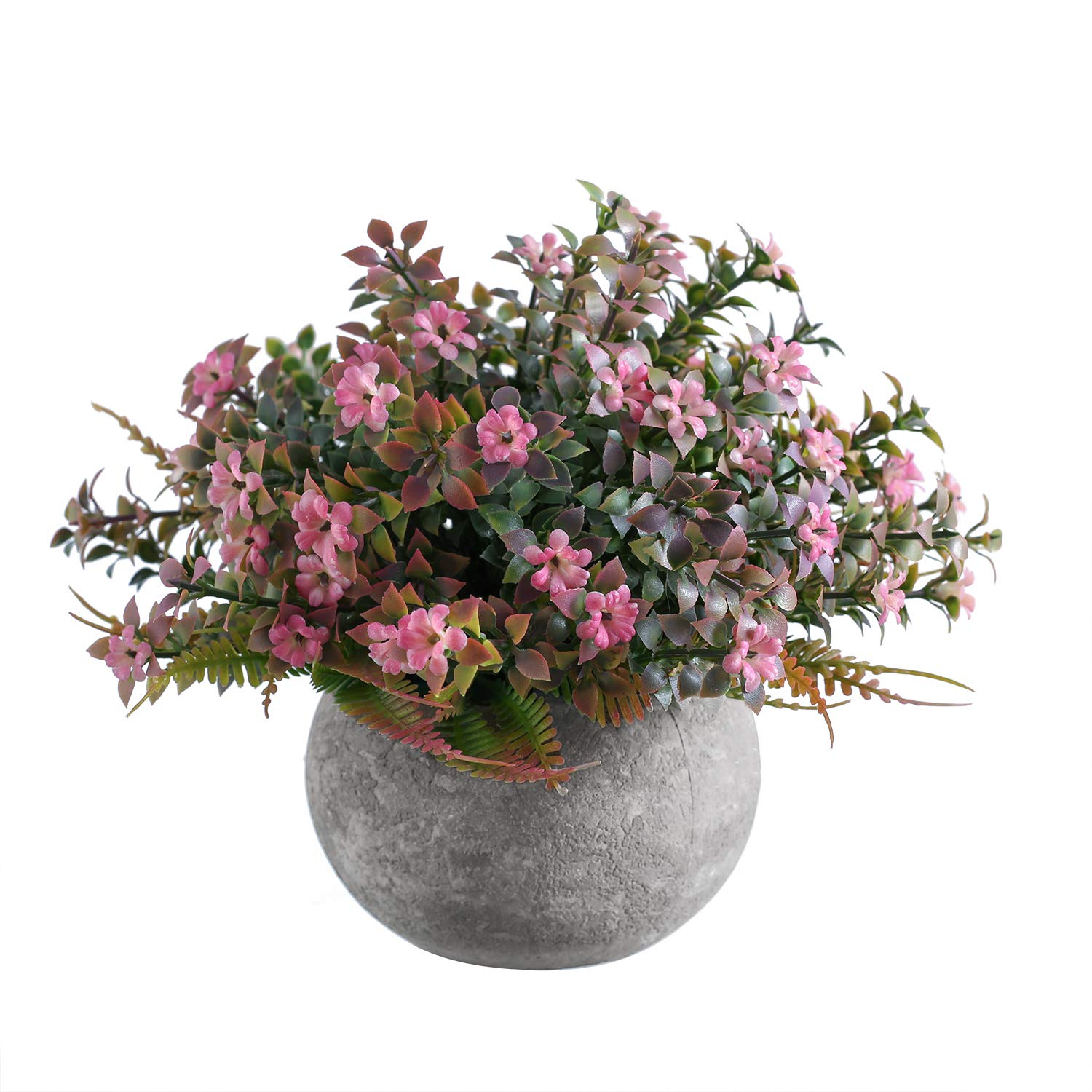 Best large decor plants for living room