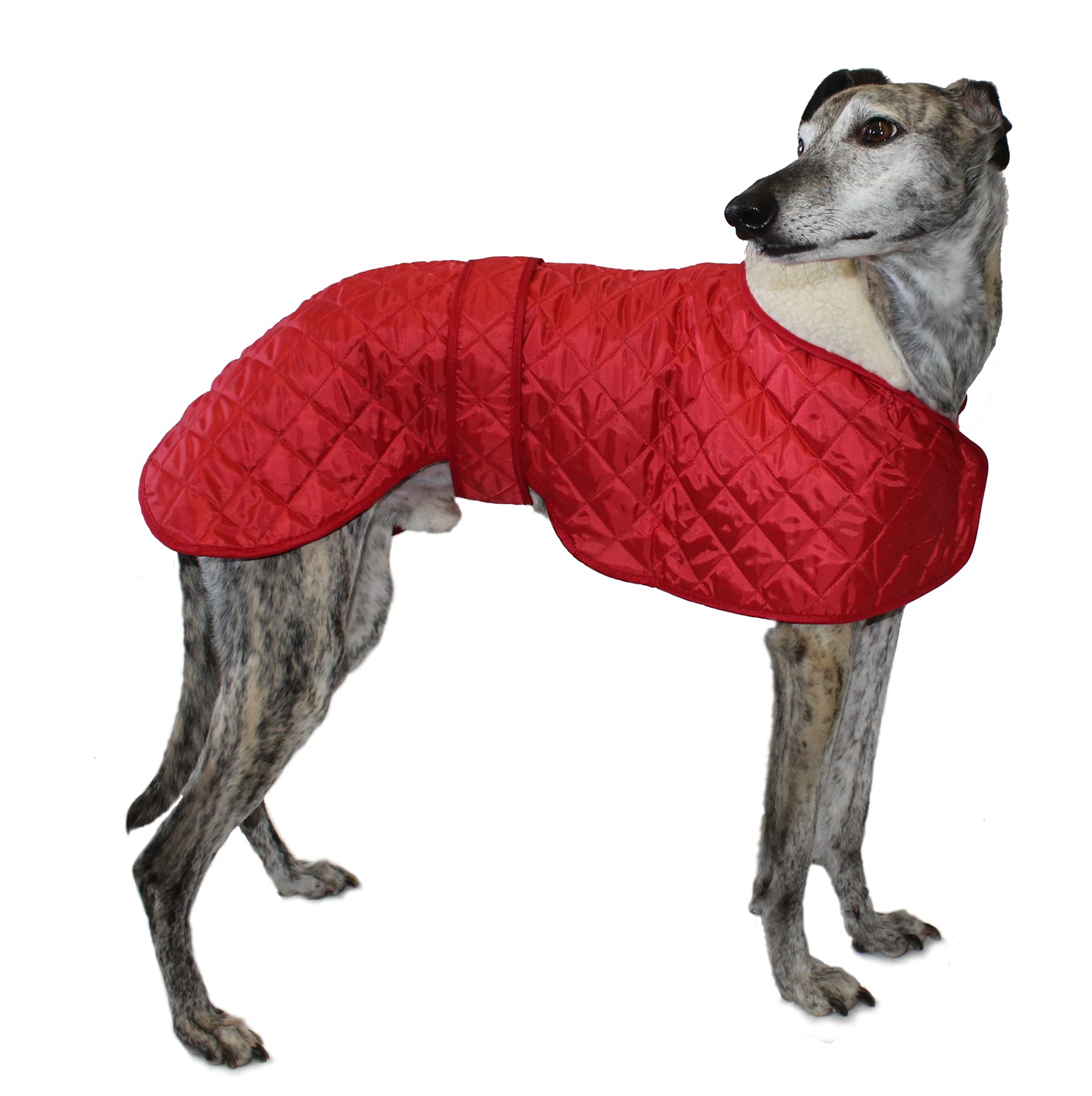 Cosipet Greyhound Anorak Nylon Coat,30"/76 cm, Red