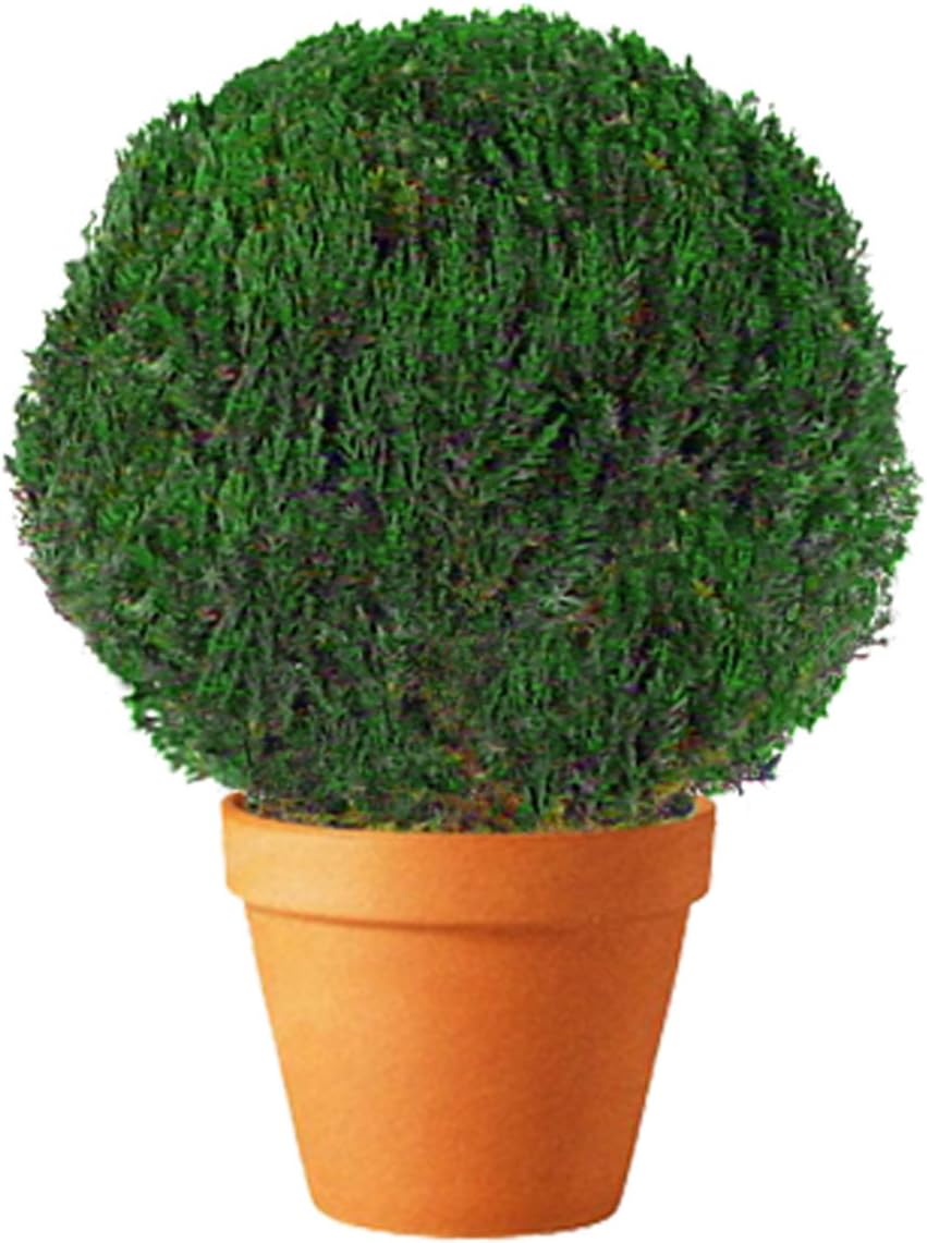 Forever Green Art Preserved Juniper Globe with Terra Cotta Pot, 11-Inch