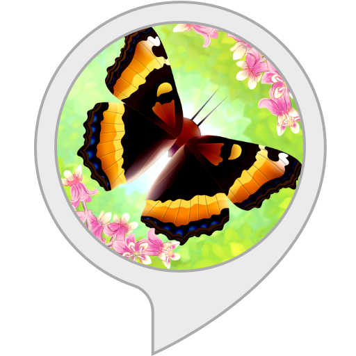 Amazon.co.uk Garden Screensaver for Echo Show Alexa Skills