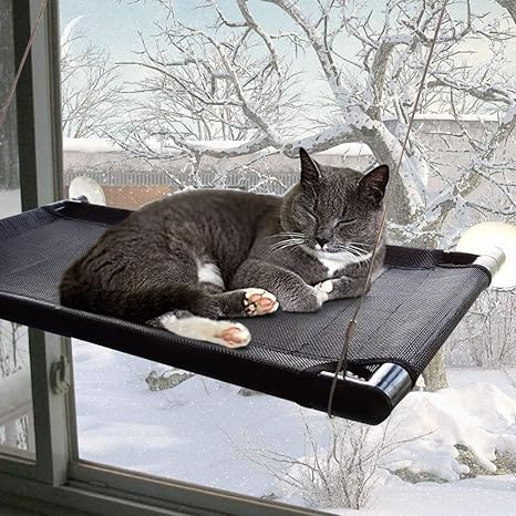 Lit Pour Chat Perchoir De Fenetre Ventouses Economie D Espace Hamac Pour Chat Siege De Repos