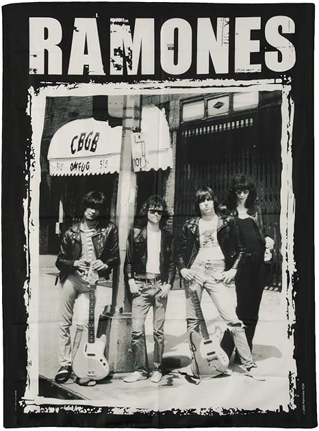 Amazon Com Ramones Fabric Poster 30 X 40in Prints Posters Prints