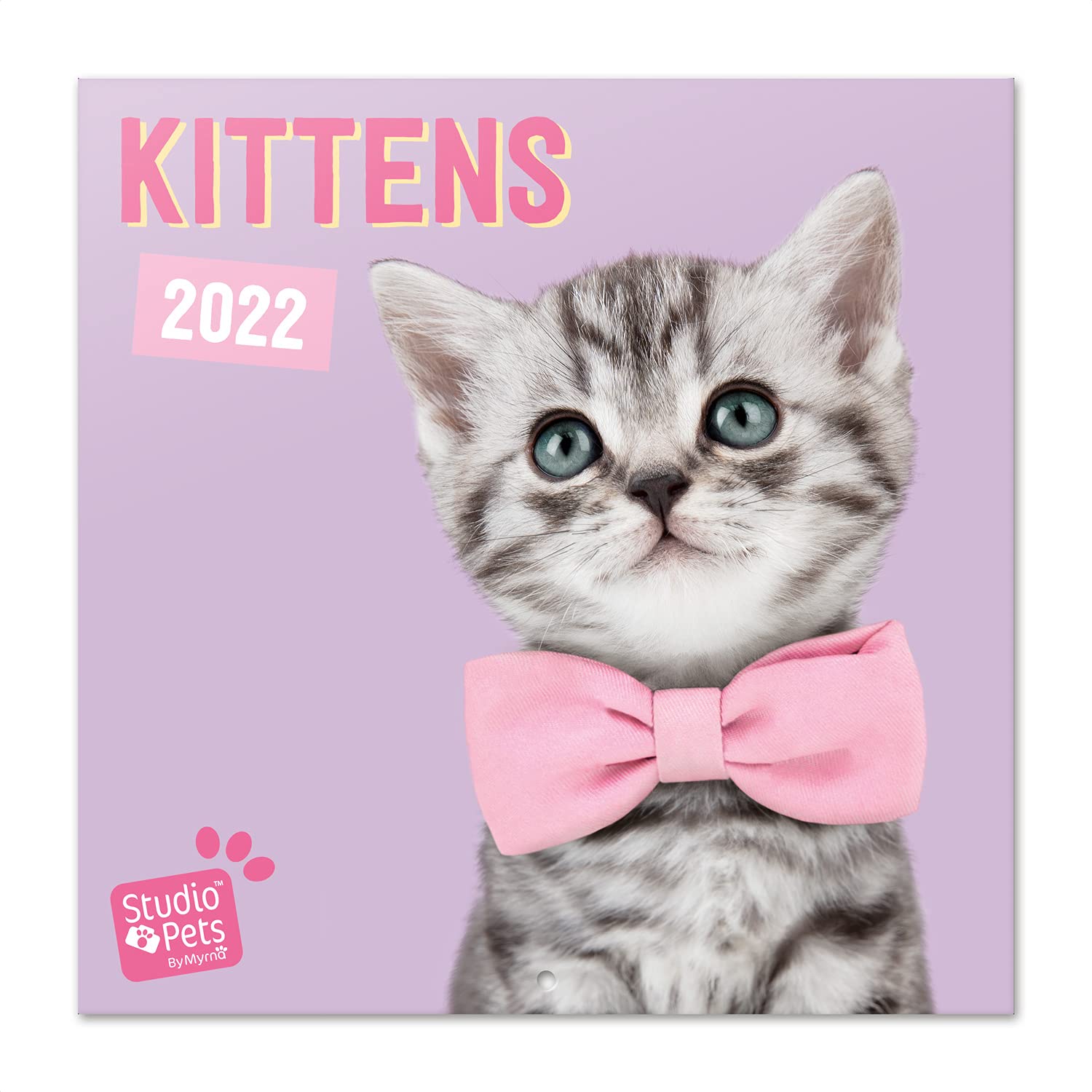 Grupo Erik: Official Studio Pets Kittens 2022 Wall Calendar, 2022 Calendar, 12' x 12' Square Wall Calendar 2022, Family Calendar 2022, Cats Calendar 2022 - Kids Calendar 2022 โ image 1