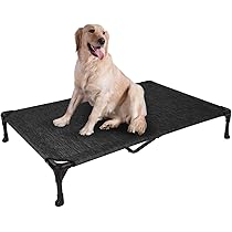 cot style dog beds