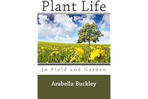Plant Life in Field and Garden