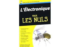 Electronique Poche pour les Nuls (French Edition)