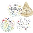 Little Wildflower Baby Shower Chocolate Kisses Candy Stickers, Baby in Bloom She's a Wildflower Party Favor Stickers - 180 Count, It's a Girl Spring and Summer