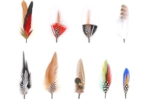 YESCRIBIR Hat Feathers, 9 Pcs Assorted Natural Feather Packs Accessories for Fedora, Cowboy, Open Road, Borges, Scott, Oktoberfest, Trilby Hats