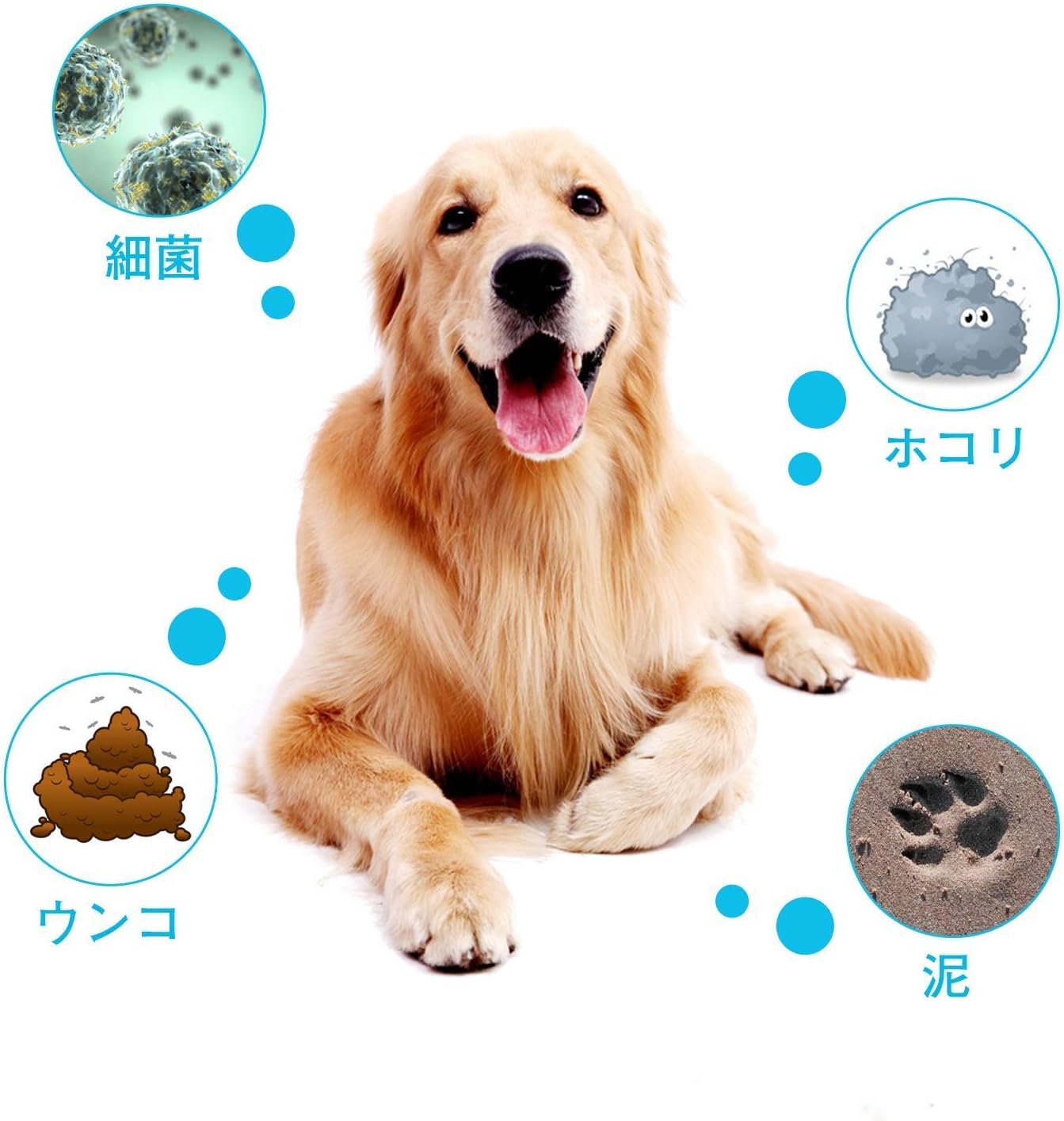 Amazon Co Jp 犬 足洗い 足洗いカップ ペット用 散歩便利グッ 清浄力3倍アップ 愛犬のお散歩帰りのかんたん足洗い L 家電 カメラ Amazon Co Jp 犬 足洗い 足洗いカップ ペット用 散歩便利グッ 清浄力3倍アップ 愛犬のお散歩帰りのかんたん足洗い L 家電 カメラ