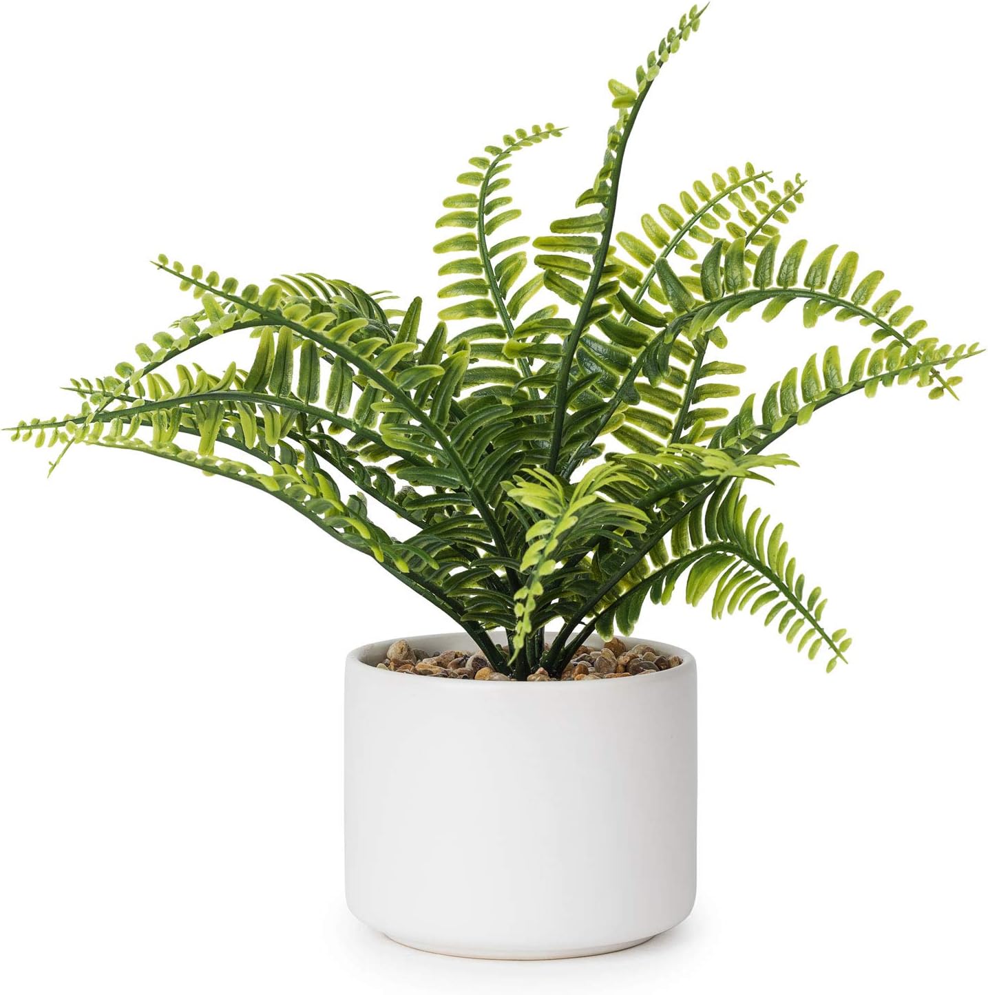 Lvydec Artificial Succulent Plants - Fake Fern Plant with a Ceramic Pot for Home Bath Office Shelf Decoration (Boston Fern)