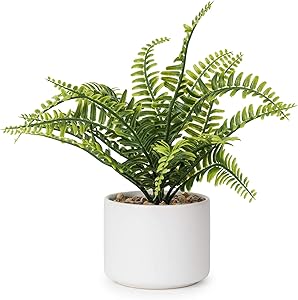 Lvydec Artificial Succulent Plants - Fake Fern Plant with a Ceramic Pot for Home Bath Office Shelf Decoration (Boston Fern)