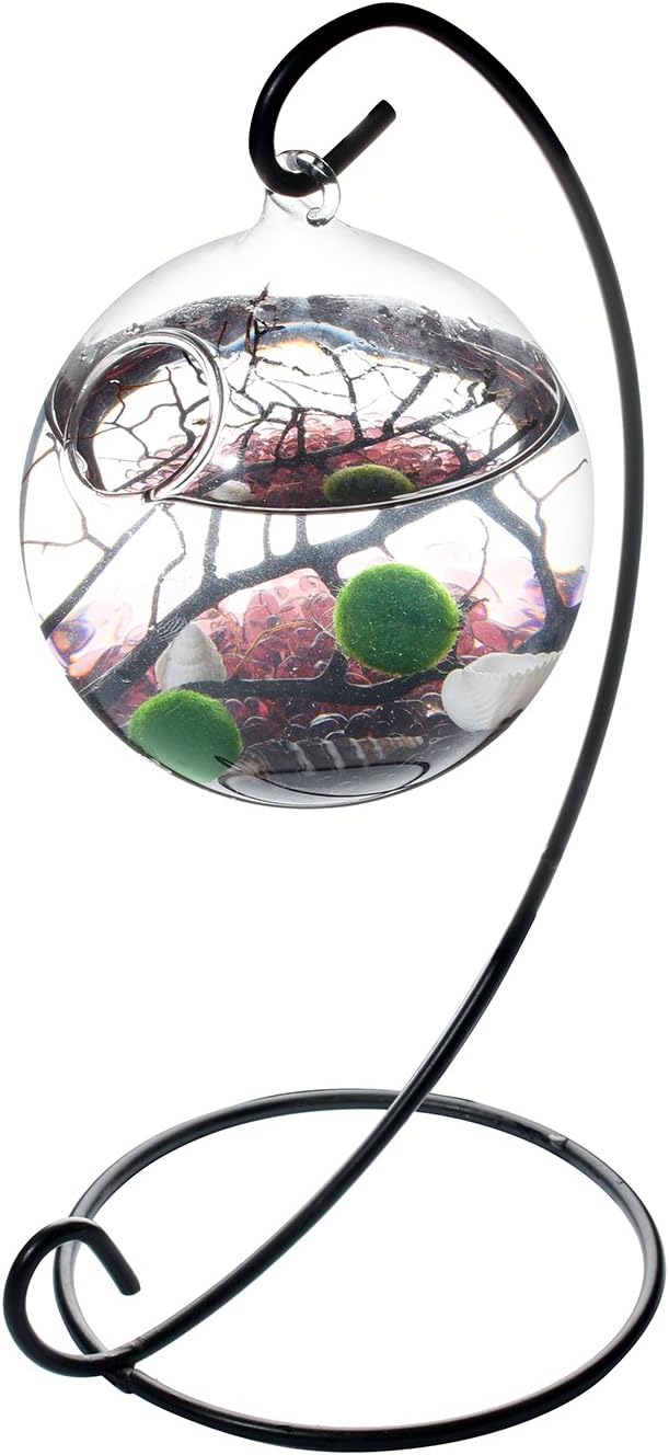 Best coffee table fish tanks