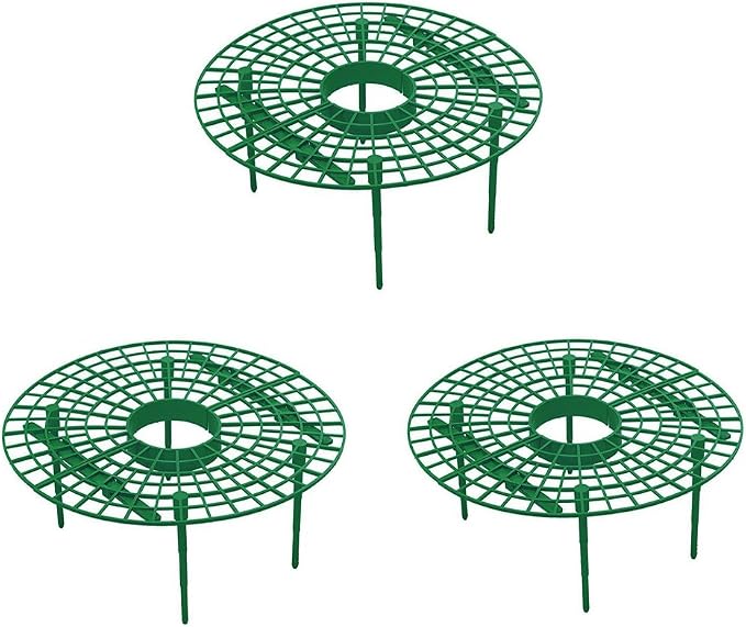 PovKeever Soporte para Plantas de Fresa, 3 Unidades, Protección ...