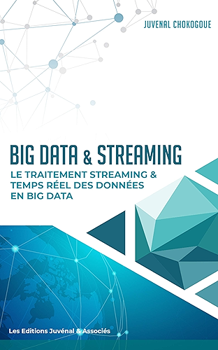 Download Big Data & Streaming: le Traitement Streaming et temps réel des données en Big Data PDF