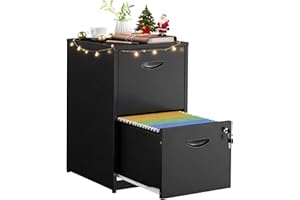 SteeLoong 2 Drawer File Cabinets,Metal Office File Cabinet with Lock,Black Filing Cabinets for Home Office,Vertical Modern File Cabinet Office Two Drawers for Hanging Letter,Assembly Required