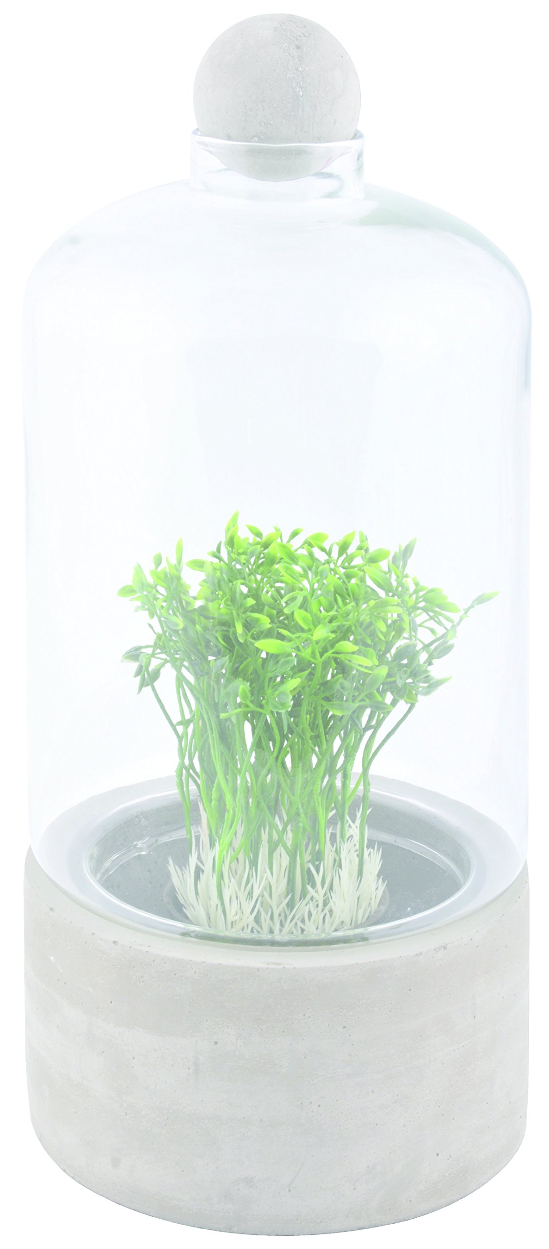 Esschert Design AGG44 Bottle Terrarium Planter with Concrete Base, Large