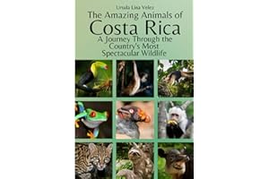 The Amazing Animals of Costa Rica: A Journey Through the Country's Most Spectacular Wildlife