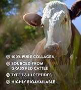 Hunter & Gather Bovine Collagen Powder 30 x 6.5g Sachets Unflavoured view 5