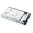 Dell 9W5WV 1TB 7.2K ENT SAS 2.5 6GBPs Hard Drive (Renewed)