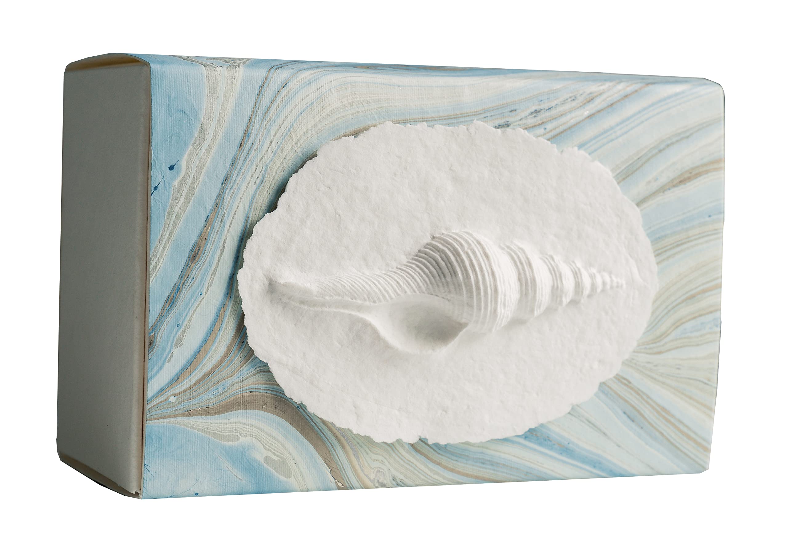 Earth Memorials The Favorite Place Biodegradable Urn for Human Ashes, Large Shell in Mist Urn Box, Water Burial, EcoFriendly, Blue/Metallic Silver Swirl K-124