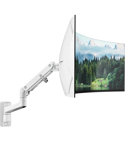 Amazon.com: Ergotron – MXV Single Monitor Arm, VESA Wall Mount