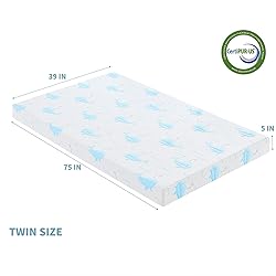 OUUI 5 Inch Twin Mattress for Kids, Removable