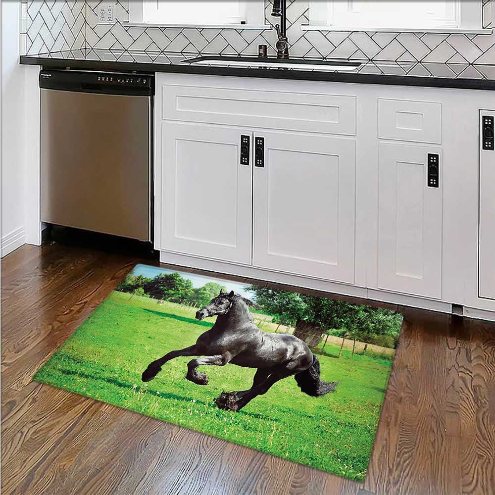 Amazon Com Rug Easy To Clean Durable Ballerina Dancing With