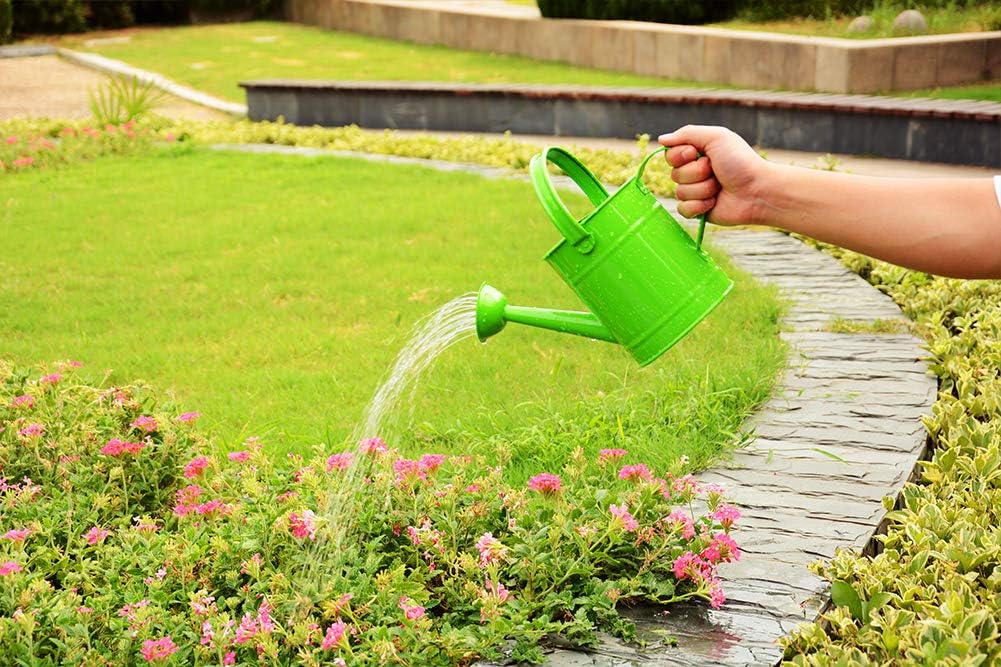 yourjoy Galvanized Metal Wating Can 67 OZ (0.5 Gallon), Watering Pot with Handle and Removable Spout for Outdoor and Indoor Plant Watering : Garden & Outdoor