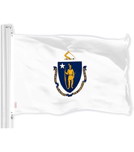 Amazon.com : Sportsworld Connecticut Official State Flag