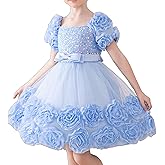 Zvzio Little Girl Dress with 3D Floral Embroidery Flower Girl Dresses for Easter, Wedding, Birthday Or Graduation