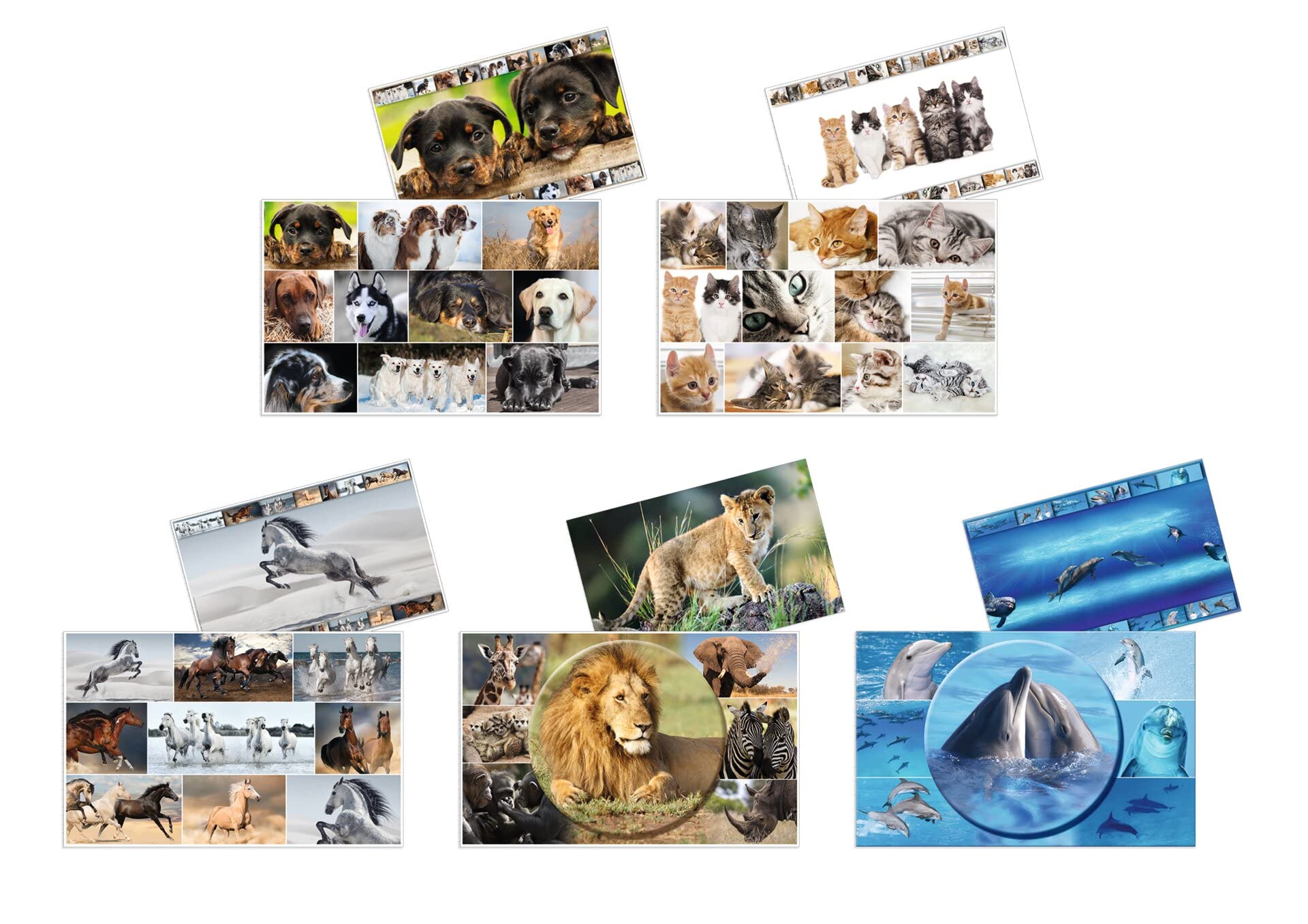 HERMA 19663 Desk Mats Animals Assortment, Pack of 10, Wipe-Clean Children's Cardboard Writing Pads, 55 x 35 cm, Double-Sided Motif Table Mat Set for Girls and Boys