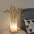 Floresita Vase Table Lamp Rechargeable Touch Lamp Dimmable 3 Colors Flower Lamp Bedside Lamp Frosted Glass Shade with Wood Base