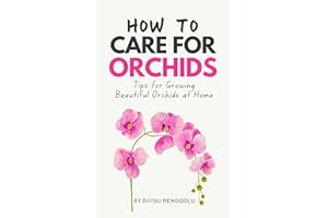 How to Care for Orchids: Tips for Growing Beautiful Orchids at Home