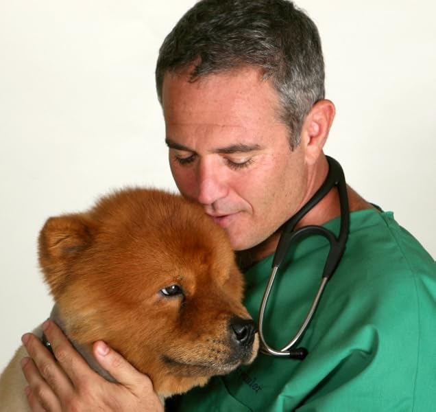 dog cancer survival guide