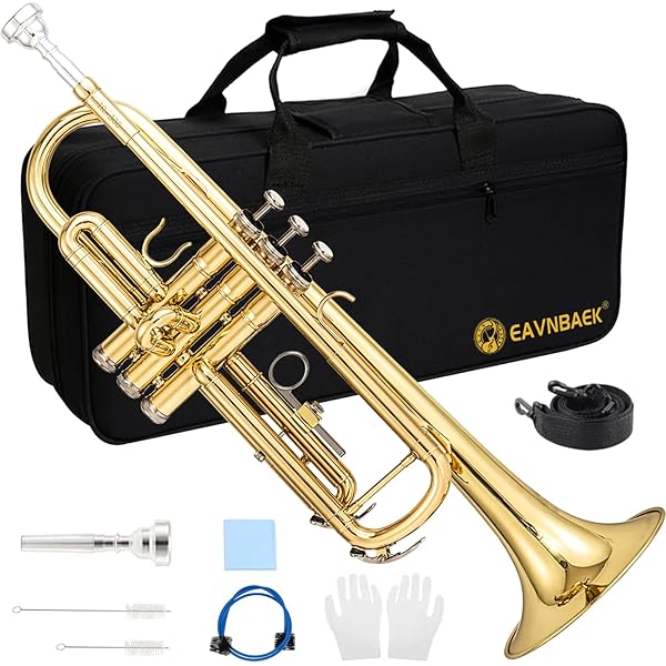 Amazon.com: TRUMPET MOUTHPIECE BOOSTER KGUBrass. CUSTOM MADE