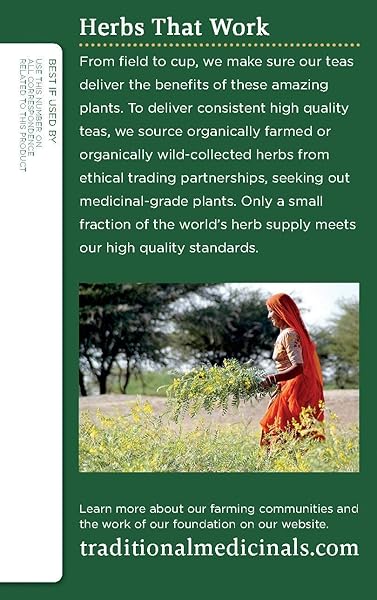 TRADITIONAL MEDICINALS ORGANIC, HIBISCUS TEA – SUPPORTS NORMAL HEART HEALTH & CARDIOVASCULAR WELLNESS – KOSHER, NON-GMO, CAFFEINE-FREE, COMPOSTABLE – 16 TEA BAGS