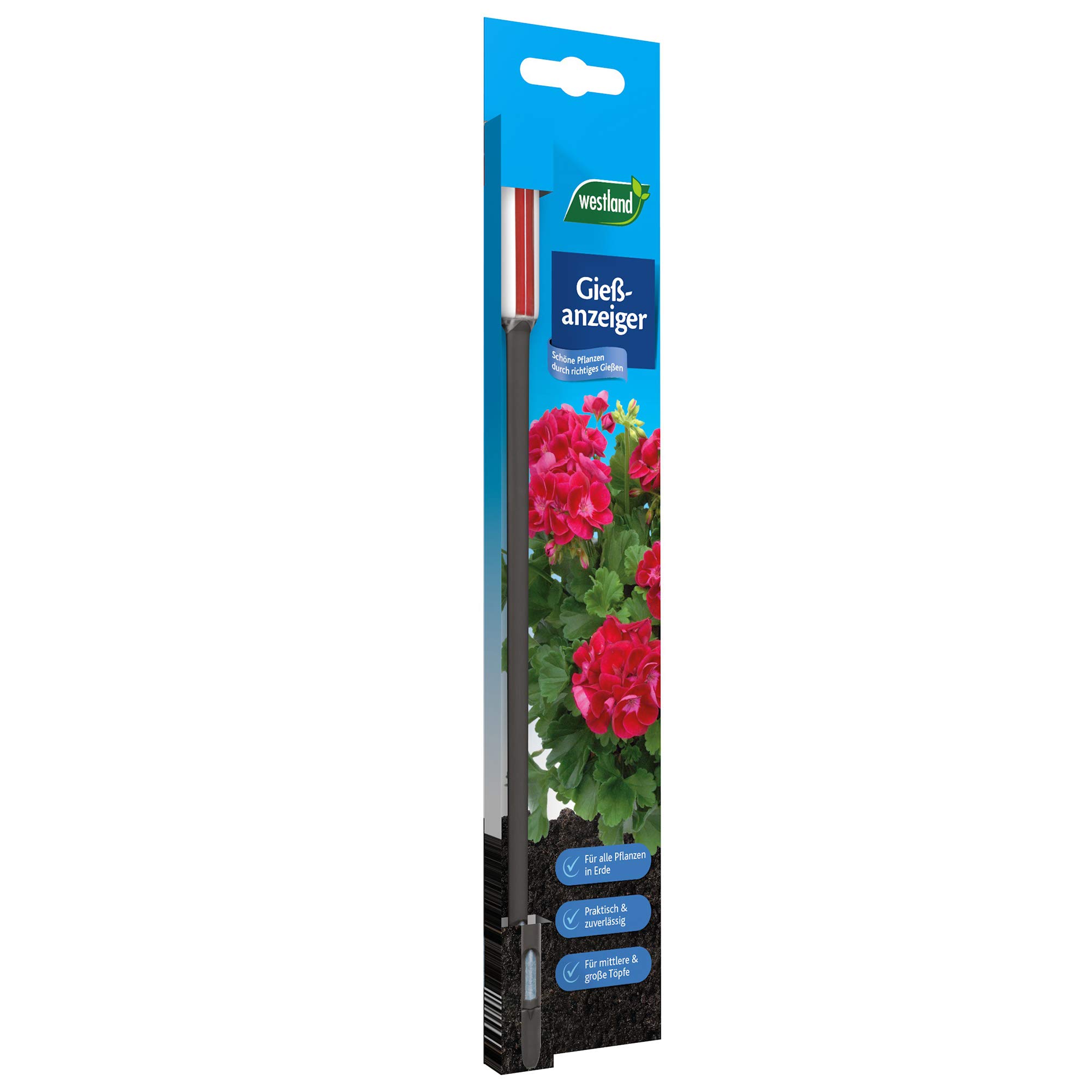 Westland Gießanze Plastic Rectangular for all Plants Potting Soil, No Batteries Required, based on Gießanze (6 Pieces)
