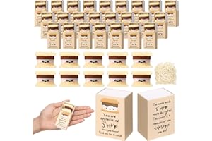 Wettarn 24 Sets Appreciation Gifts S'More Stress Balls with Thank You Gift Boxes for Employee Coworker Staff Office Team Positive Desk Decor, Luminous