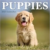 TF Publishing 2027 Puppies Mini Calendar - 7 x 7 inches | Premium Gloss Paper, Vertical Small Monthly Wall Calendar 2027 for Appointments and Scheduling, Home and Office Organization