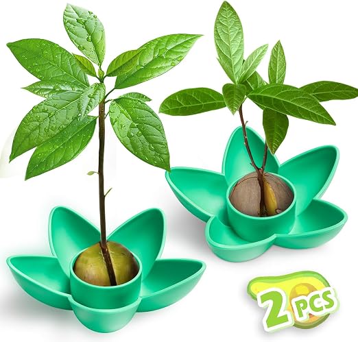 Tazón de 2 piezas de planta de aguacate MOSRACY, regalo de jardín ...