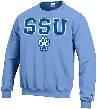 champion crewneck sweatshirt blue