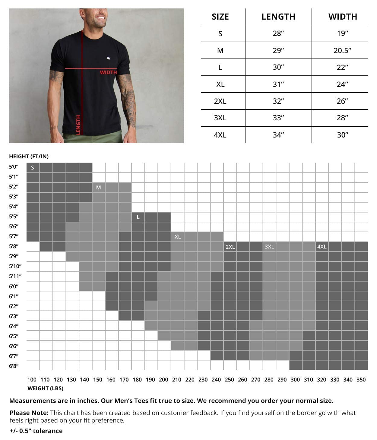 INTO THE AM Men's Graphic T-Shirts S - 4XL Premium Short Sleeve Tees Cool Nature Designs