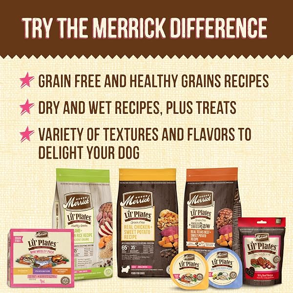 MERRICK LIL’ PLATES GRAIN FREE NATURAL WET DOG FOOD FOR SMALL BREED PUPPIES, PINT-SIZED PUPPY PLATE IN GRAVY – (PACK OF 12) 3.5 OZ. TUBS