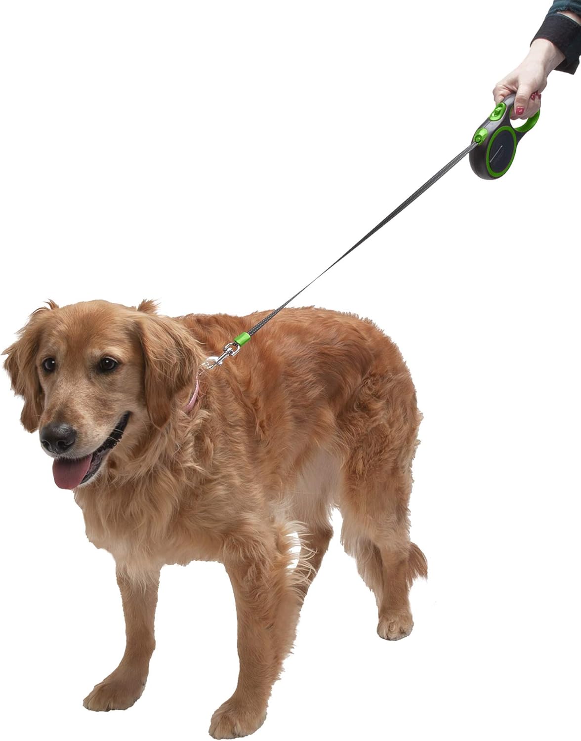 retractable dog leash lengths