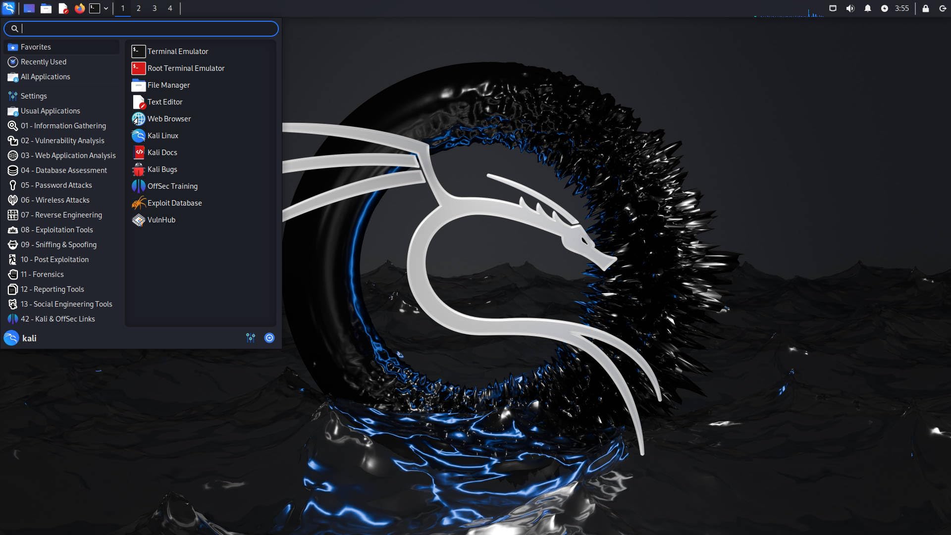 Kali Linux OS for Hackers - Bootable Live Install USB Flash Thumb Drive - Cybersecurity Hacking Tools and Penetration Testing