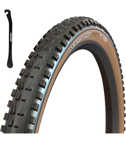Amazon.com : WTB Vigilante Mountain Bike Front Tire (29