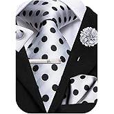 Hi-Tie Mens Paisley Floral Striped Ties Set Silk Necktie and Lapel Pin for Men Pocket Square Cufflinks Set Business Wedding
