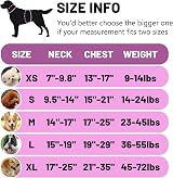 Belababy Soft No Pull Dog Harness Small Adjustable Reflective Purple view 2